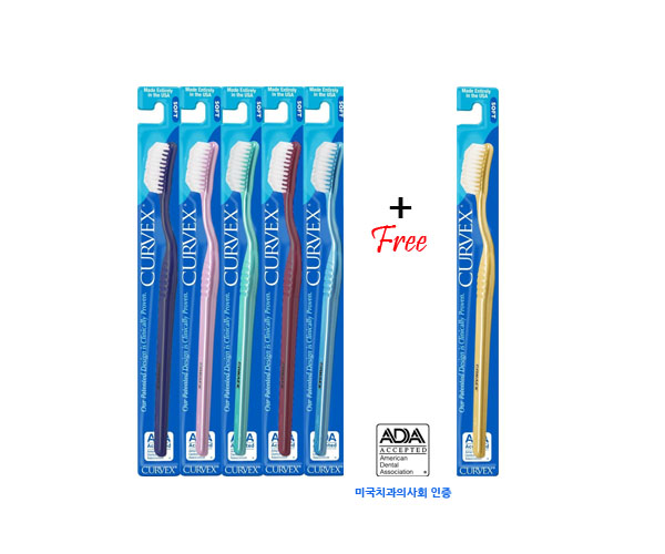 CURVEX 1  패키지 (5+1)
